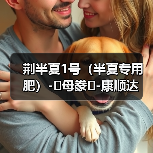 荆半夏1号(半夏专用肥)-�母豢�-康顺达(图1) 荆半夏1号(半夏专用肥)-�母豢�-康顺达(图1)