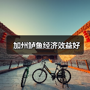 加州鲈鱼经济效益好（图3）