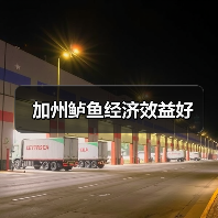 加州鲈鱼经济效益好（图4）