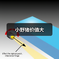 小野猪价值大（图2）