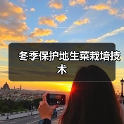 冬季保护地生菜栽培技术(图1) 冬季保护地生菜栽培技术(图1)