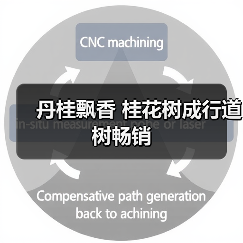 丹桂飘香 桂花树成行道树畅销（图4）