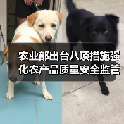 农业部出台八项措施强化农产品质量安全监管（图4）