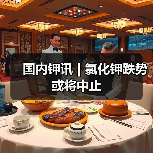 国内钾讯 | 氯化钾跌势或将中止(图2) 国内钾讯 | 氯化钾跌势或将中止(图2)
