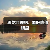 黑龙江钾肥、氮肥降价明显（图1）