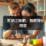 黑龙江钾肥、氮肥降价明显（图4）