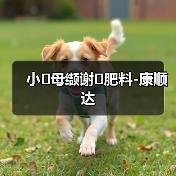 小�母缬谢�肥料-康顺达(图2) 小�母缬谢�肥料-康顺达(图2)