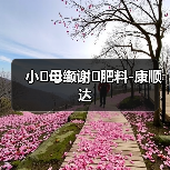 小�母缬谢�肥料-康顺达(图3) 小�母缬谢�肥料-康顺达(图3)