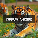 有机肥料-标靶生物(图3) 有机肥料-标靶生物(图3)