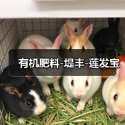 有机肥料-堤丰-莲发宝（图2）