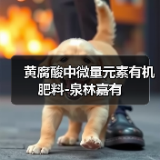 黄腐酸中微量元素有机肥料-泉林嘉有（图3）