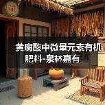 黄腐酸中微量元素有机肥料-泉林嘉有（图4）