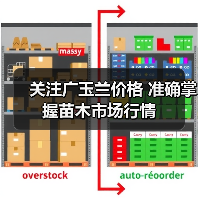 关注广玉兰价格 准确掌握苗木市场行情(图2) 关注广玉兰价格 准确掌握苗木市场行情(图2)