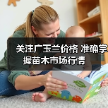 关注广玉兰价格 准确掌握苗木市场行情(图3) 关注广玉兰价格 准确掌握苗木市场行情(图3)