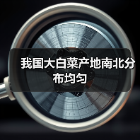 我国大白菜产地南北分布均匀(图2) 我国大白菜产地南北分布均匀(图2)