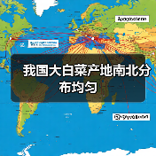 大白菜北南产区价格逆势上涨 收益提升显成效-绿源新宇生物有机 大白菜北南产区价格逆势上涨 收益提升显成效-绿源新宇生物有机