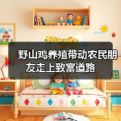野山鸡养殖带动农民朋友走上致富道路（图3）
