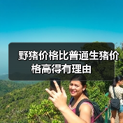 野猪价格比普通生猪价格高得有理由（图2）