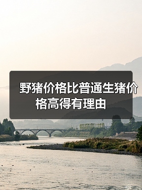 野猪价格比普通生猪价格高得有理由（图3）