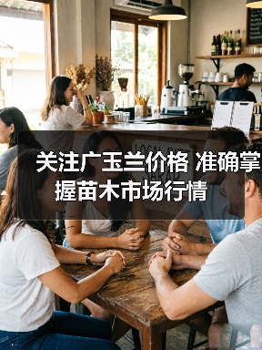 关注广玉兰价格 准确掌握苗木市场行情(图4) 关注广玉兰价格 准确掌握苗木市场行情(图4)