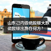 山东己内级硫酸铵大跌 硫酸铵出路在何方?(图4) 山东己内级硫酸铵大跌 硫酸铵出路在何方?(图4)