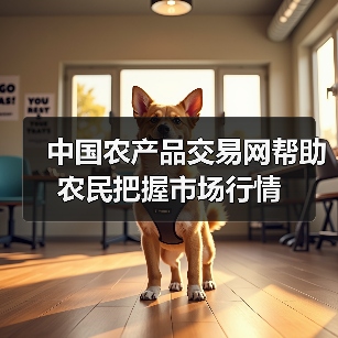 中国农产品交易网帮助农民把握市场行情（图4）