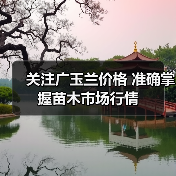 广玉兰市场动态:把握价格波动,抢占销售旺季市场-绿源新宇生物 广玉兰市场动态:把握价格波动,抢占销售旺季市场-绿源新宇生物
