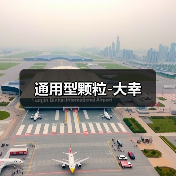 通用型颗粒-大幸（图1）