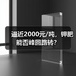 逼近2000元/吨,钾肥能否峰回路转?(图2) 逼近2000元/吨,钾肥能否峰回路转?(图2)