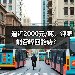 逼近2000元/吨,钾肥能否峰回路转?(图4) 逼近2000元/吨,钾肥能否峰回路转?(图4)