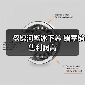 盘锦河蟹冰下养 错季销售利润高（图4）