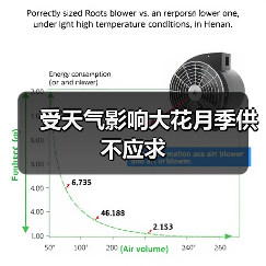 受天气影响大花月季供不应求（图2）