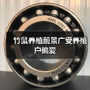 竹鼠养殖前景广受养殖户偏爱（图2）
