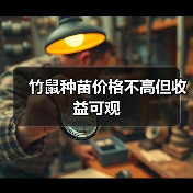 竹鼠种苗价格不高但收益可观（图2）