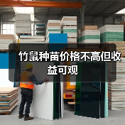 竹鼠种苗价格不高但收益可观 竹鼠种苗价格不高但收益可观