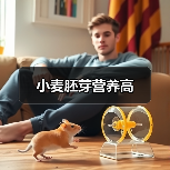 小麦胚芽营养高 小麦胚芽营养高