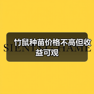 竹鼠种苗价格不高但收益可观（图3）