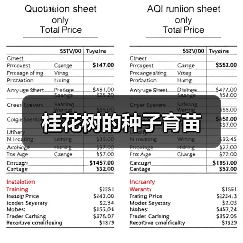 桂花树的种子育苗 桂花树的种子育苗