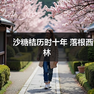 沙糖桔历时十年 落根西林(图4) 沙糖桔历时十年 落根西林(图4)