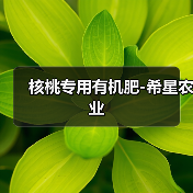 核桃专用有机肥-希星农业（图4）