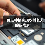 香菇种植实现农村老人的致富梦（图2）