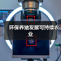 环保养猪发展可持续农业(图3) 环保养猪发展可持续农业(图3)