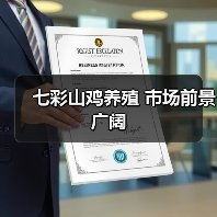 七彩山鸡养殖 市场前景广阔（图2）