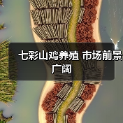 七彩山鸡养殖市场前景广阔效益显著-绿源新宇生物有机肥官网 七彩山鸡养殖市场前景广阔效益显著-绿源新宇生物有机肥官网