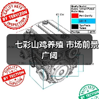 七彩山鸡养殖 市场前景广阔（图4）