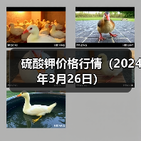 硫酸钾价格行情(2024年3月26日)(图4) 硫酸钾价格行情(2024年3月26日)(图4)