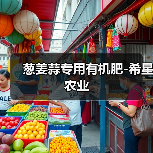 葱姜蒜专用有机肥-希星农业(图4) 葱姜蒜专用有机肥-希星农业(图4)