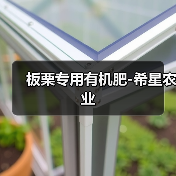 板栗专用有机肥-希星农业(图1) 板栗专用有机肥-希星农业(图1)