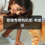 板栗专用有机肥-希星农业(图3) 板栗专用有机肥-希星农业(图3)