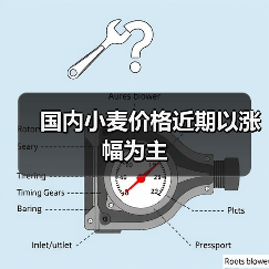 国内小麦价格近期以涨幅为主(图3) 国内小麦价格近期以涨幅为主(图3)